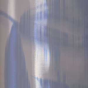 Printed metallic shine fabric