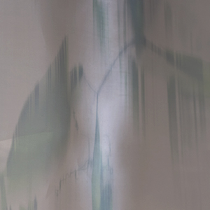 Printed metallic shine fabric