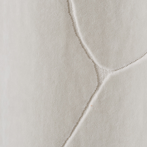 Cotton velvet jacquard