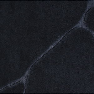 Cotton velvet jacquard