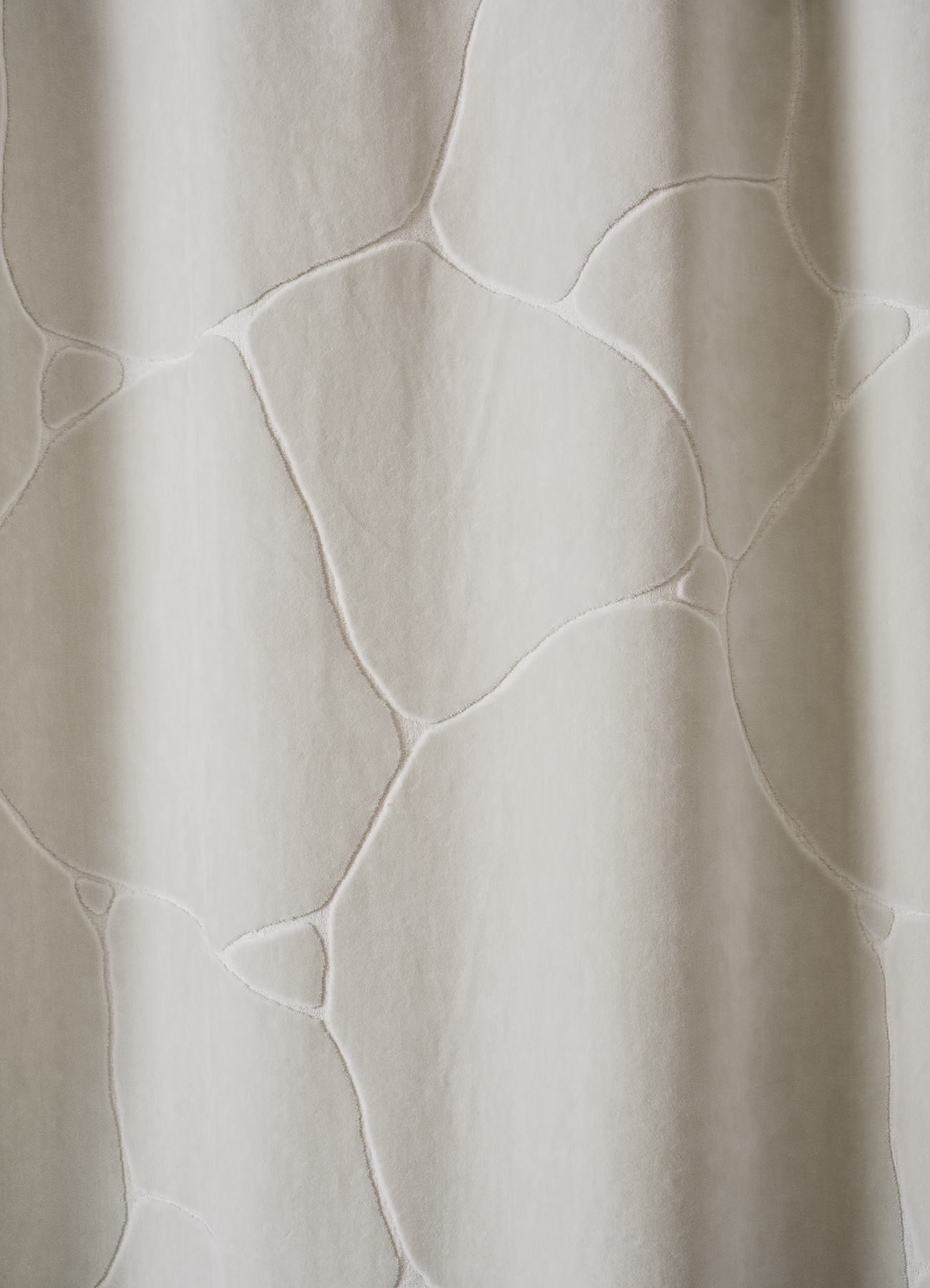 Cotton velvet jacquard