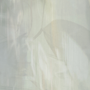 Printed polyester voile