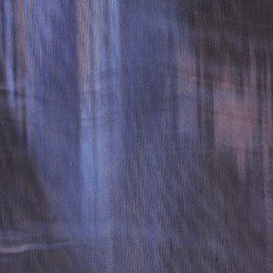 Printed polyester voile